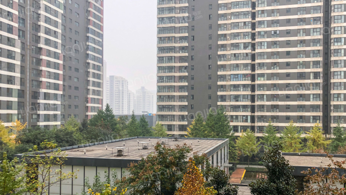 望庭国际外景图