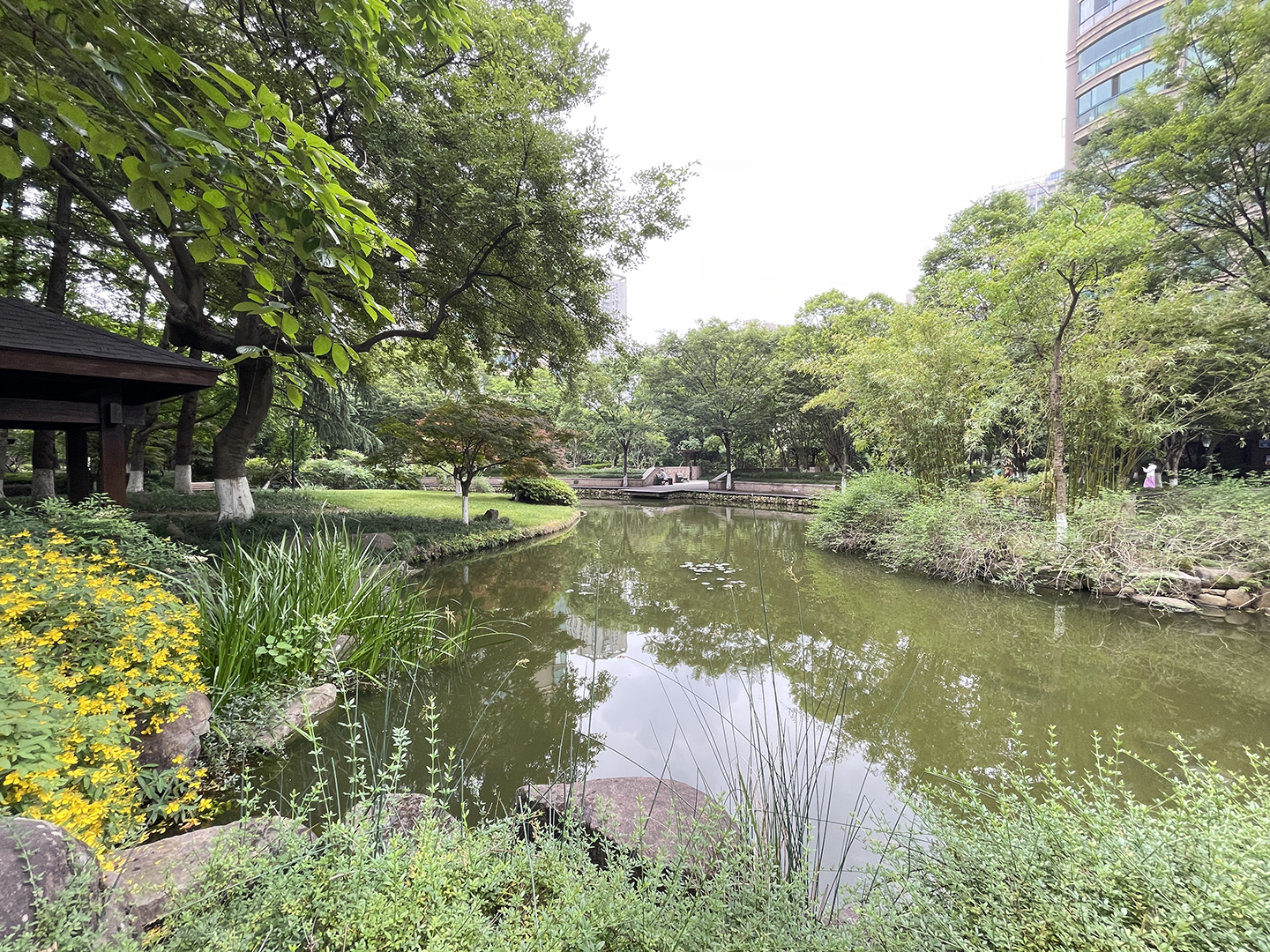 Chunjiang Shidai compound photo 12