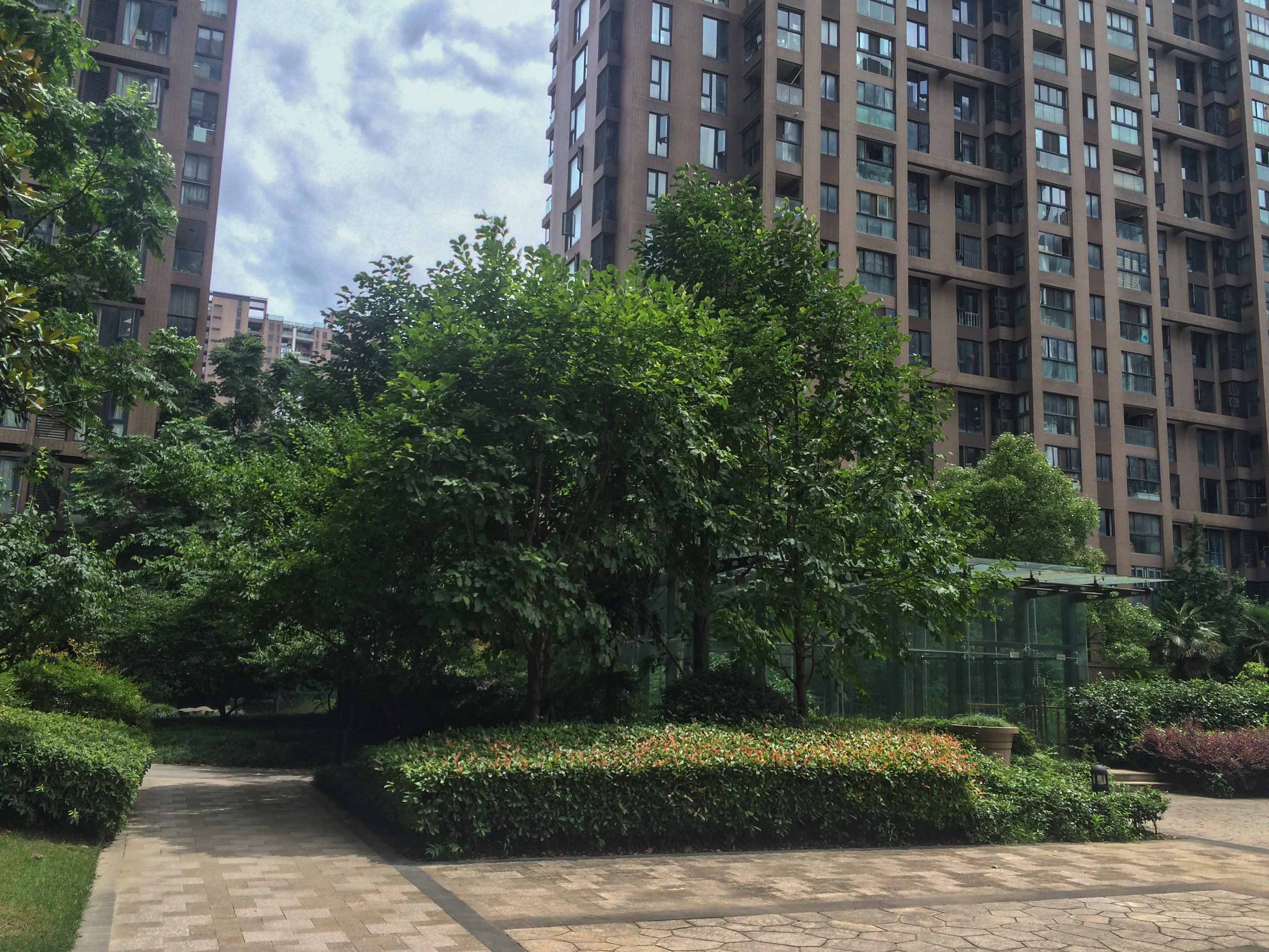 瑞立中央花城小区实景 18