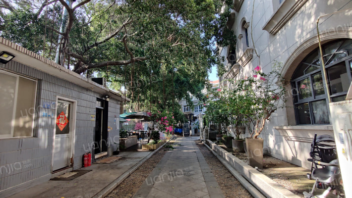 延平路外景图