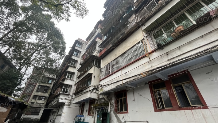 奎光西上中街107号外景图