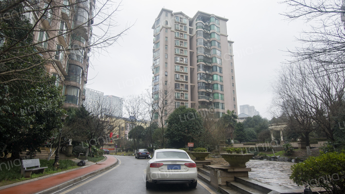 左岸春天外景图