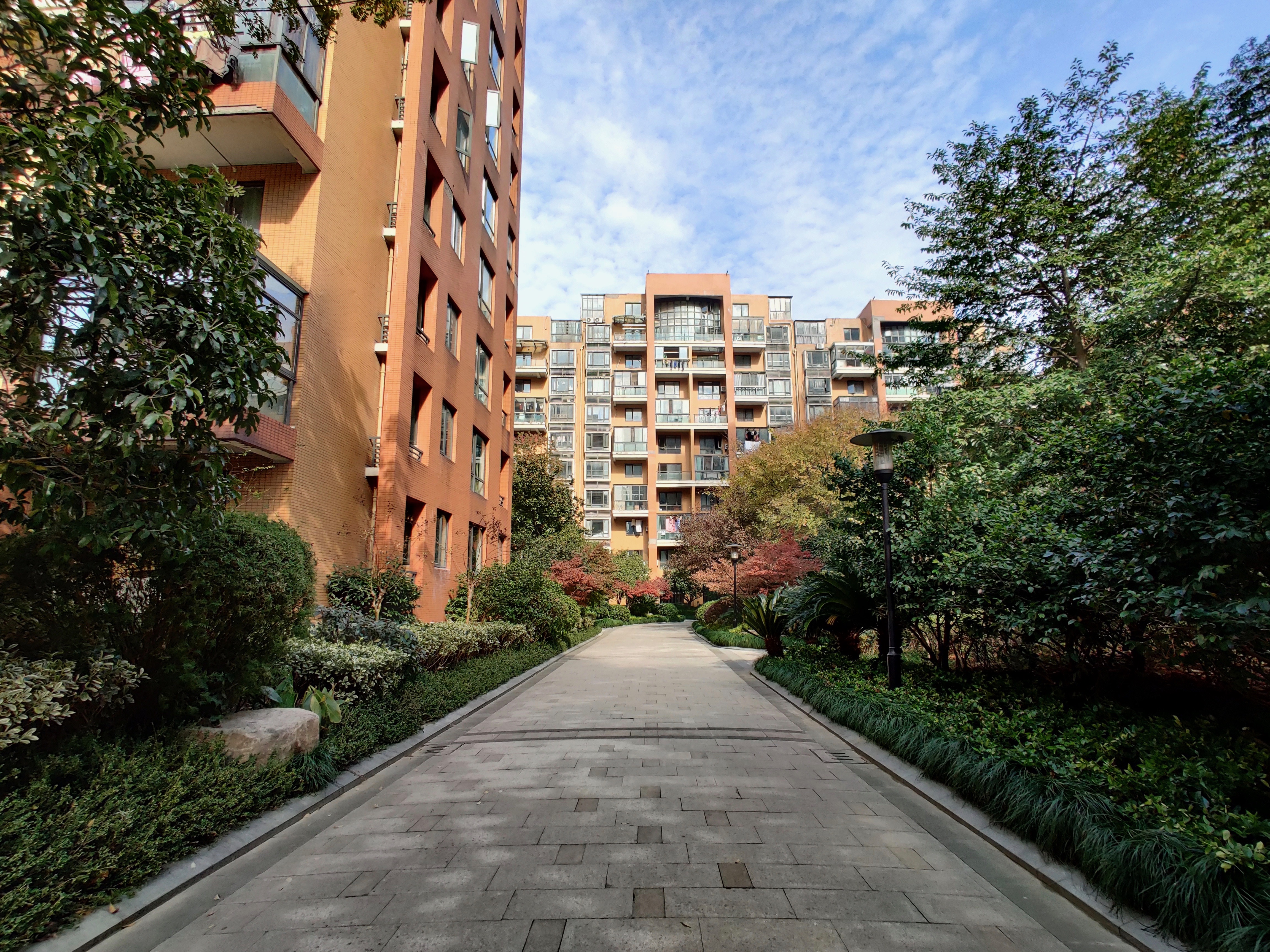  橡树园小区实景 12