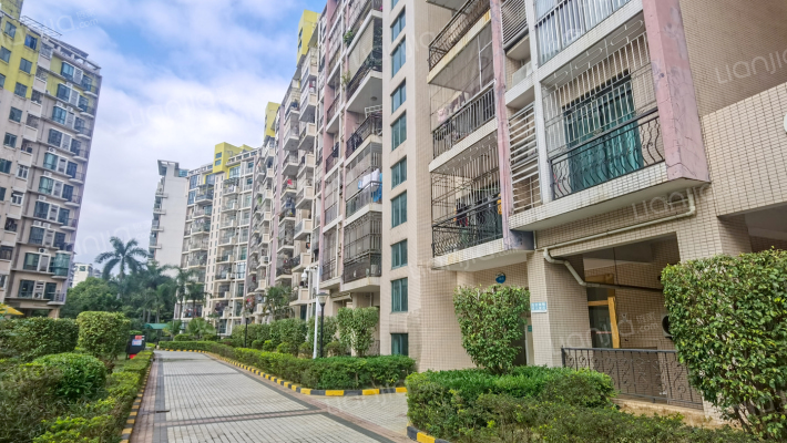 香林玫瑰花园外景图