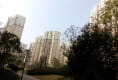 统建同安家园户型图实景图