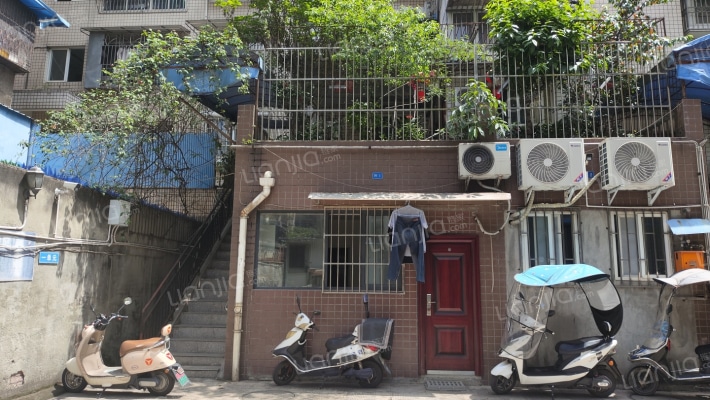 春林凤栖外景图