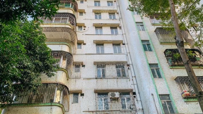 河边路散盘外景图