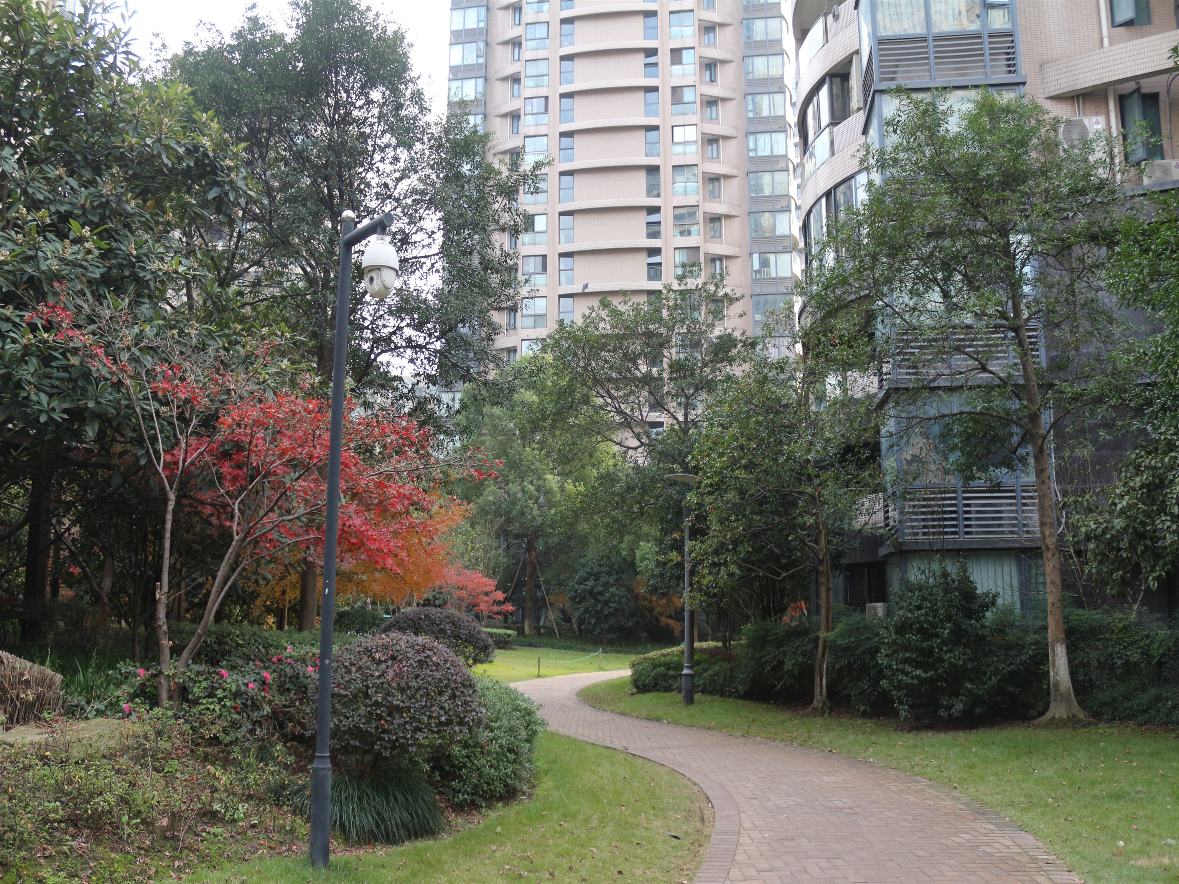 耀江文鼎苑 小区实景 17