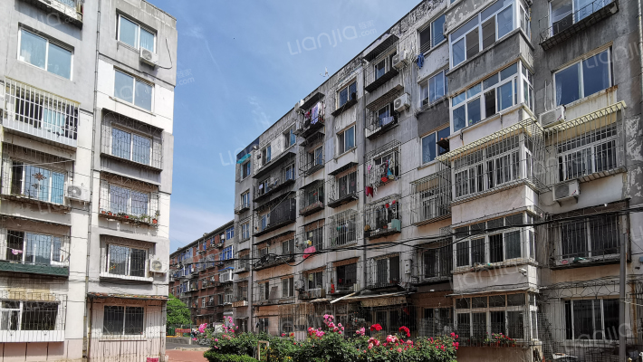 八三散盘外景图