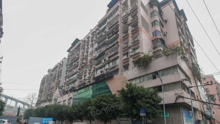 化龙中街15号外景图