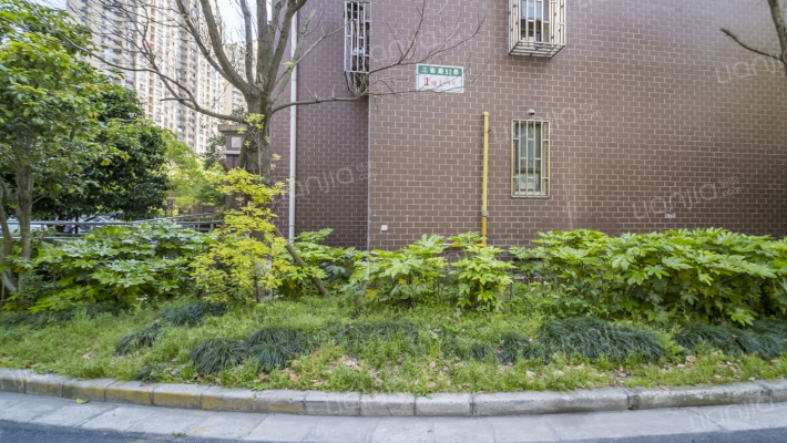 依水园二期外景图