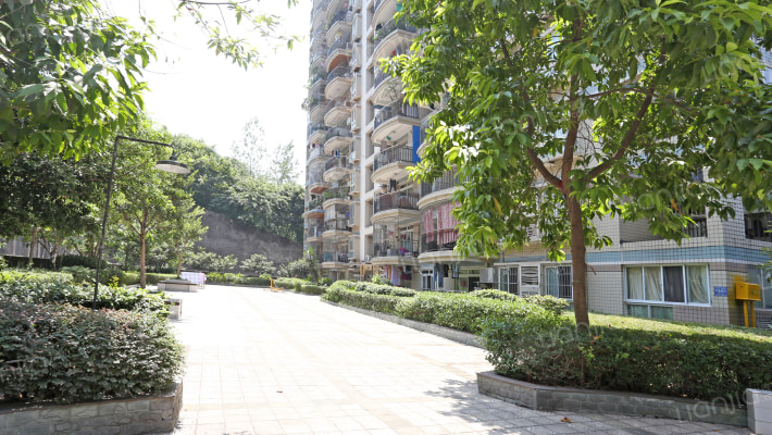 龙德景苑外景图