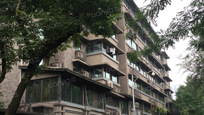 金泉街48号外景图