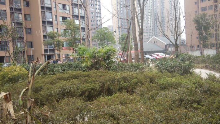 和韵家园北区外景图