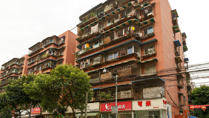 现代金山苑外景图