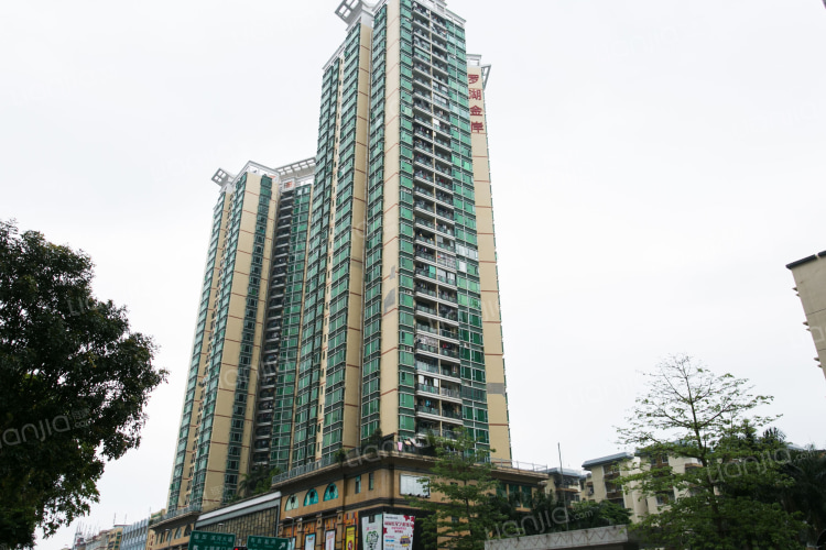 罗湖金岸大厦