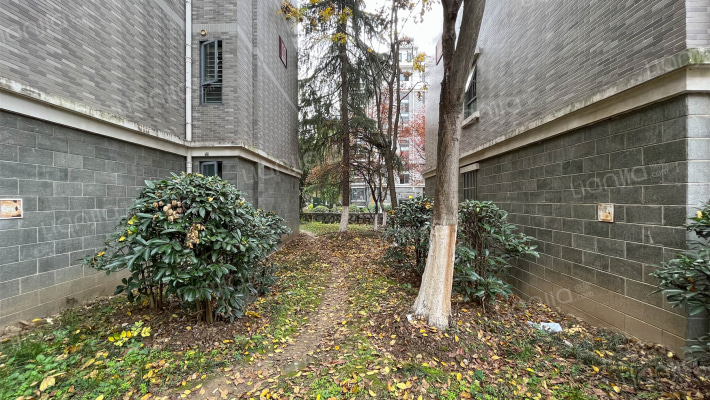 康城水云间外景图