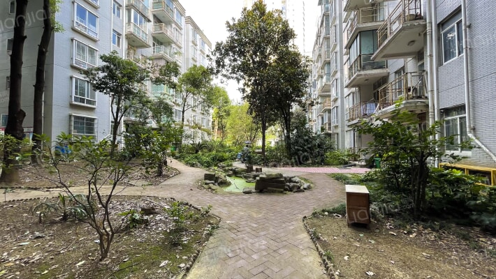 红树东方外景图