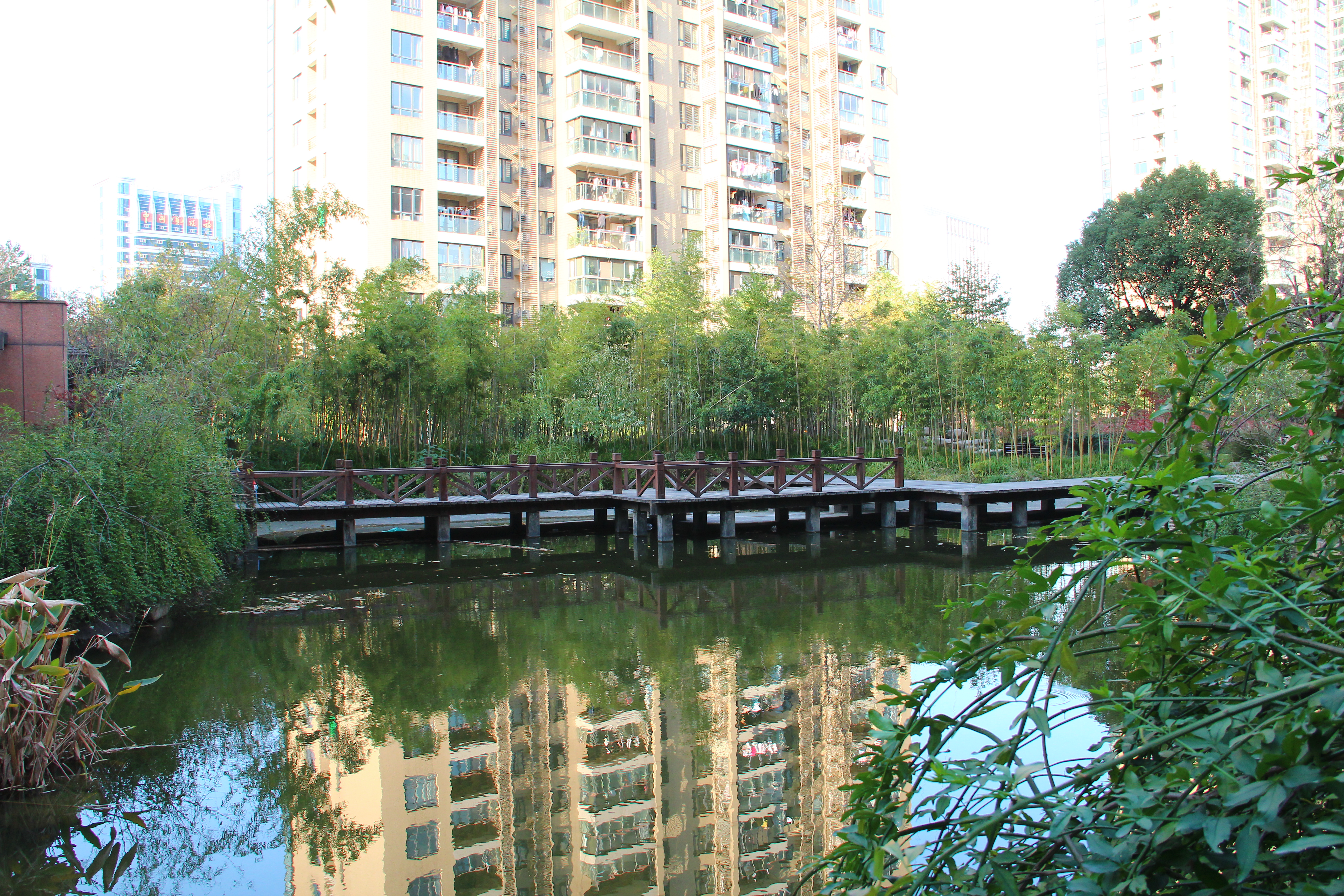  风雅钱塘小区实景 28