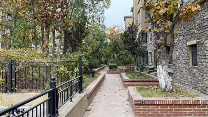 青特花溪地外景图