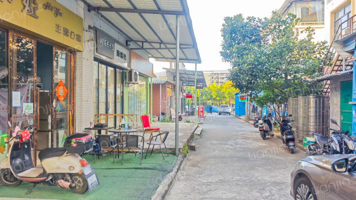 增江街荔枝山路外景图