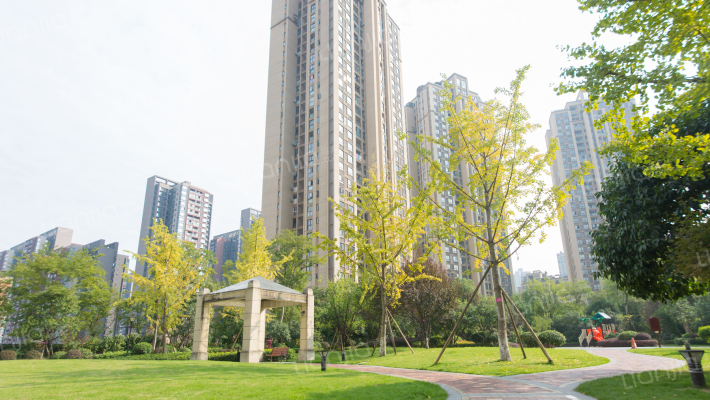 公园置尚云尚外景图