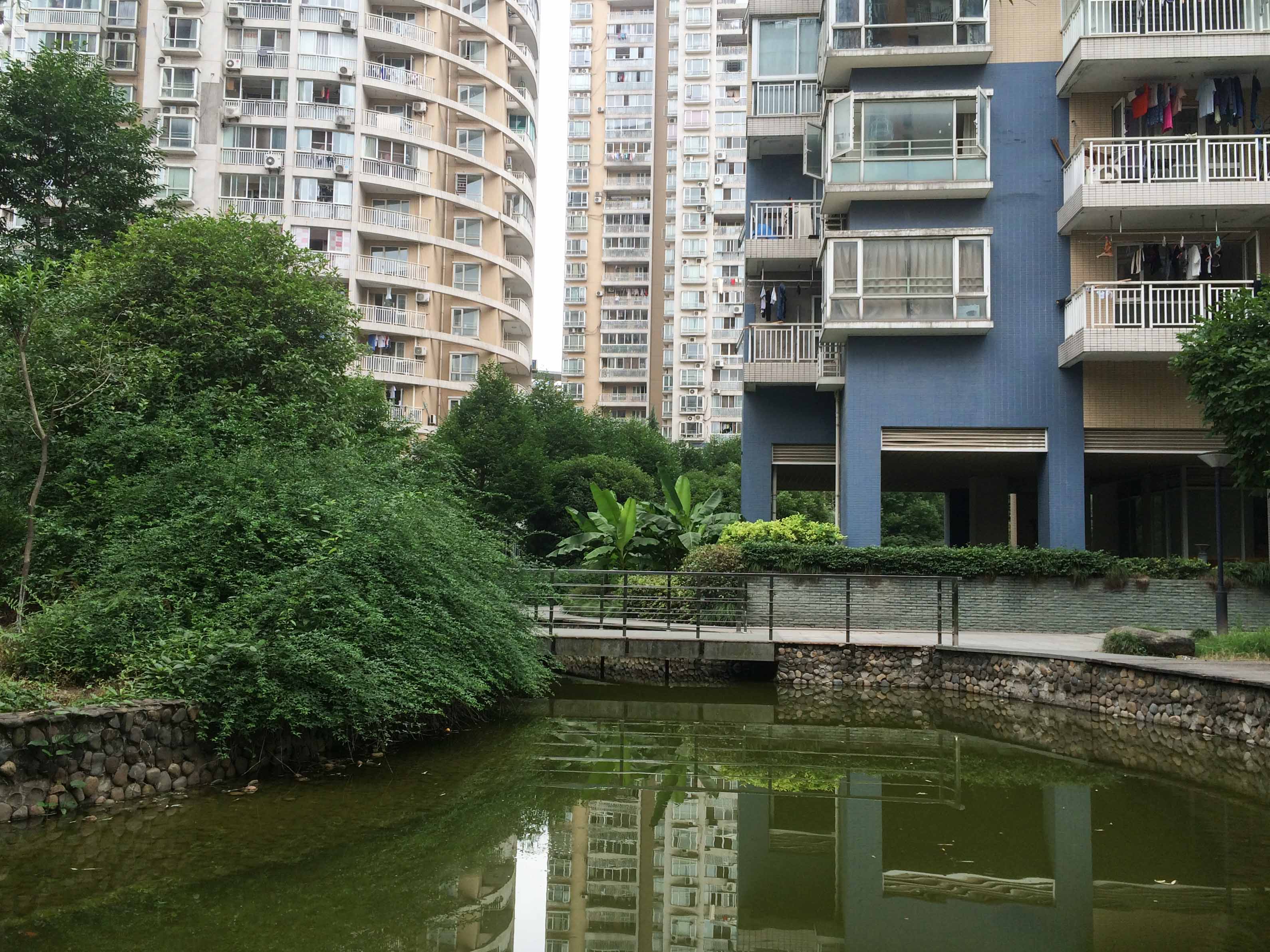 江南豪园小区实景 4