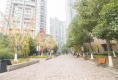 常青花园五小区户型图实景图