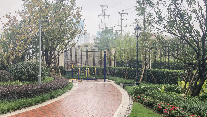 蓝光帕提欧外景图