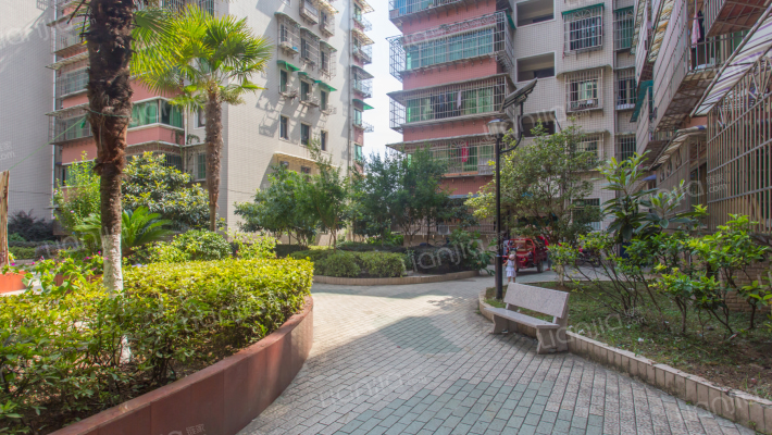 凤凰翠堤外景图