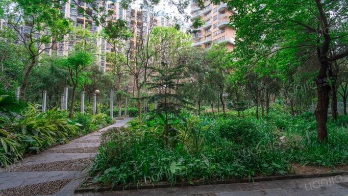 桃源居十五区外景图