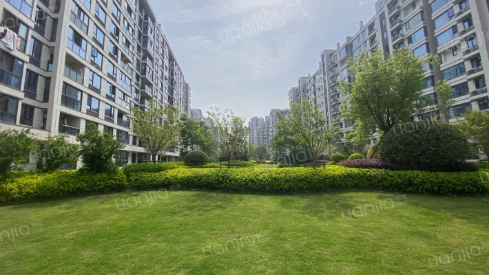 德信时光之宸外景图