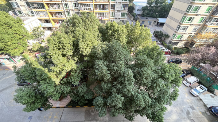 丽景碧雅外景图