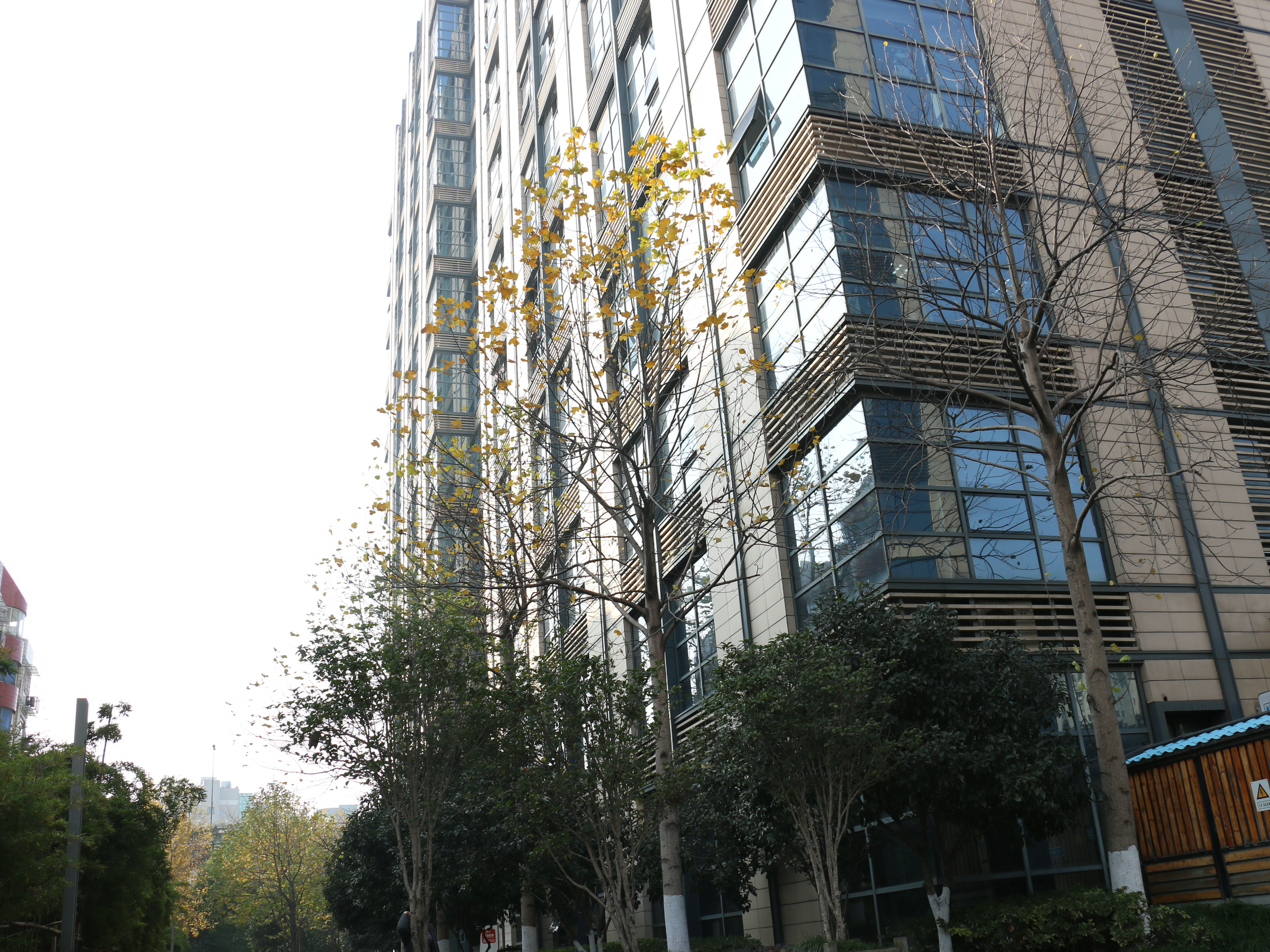 金色城品小区实景 5