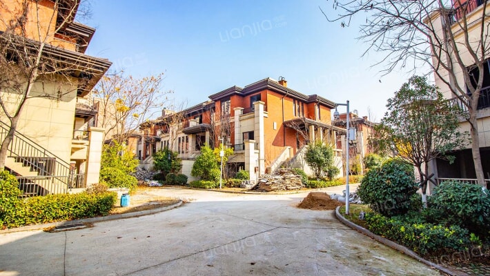 联投花山郡别墅外景图