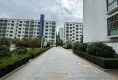 沁園户型图实景图