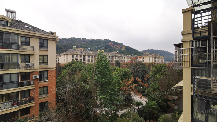 得力新和人家外景图