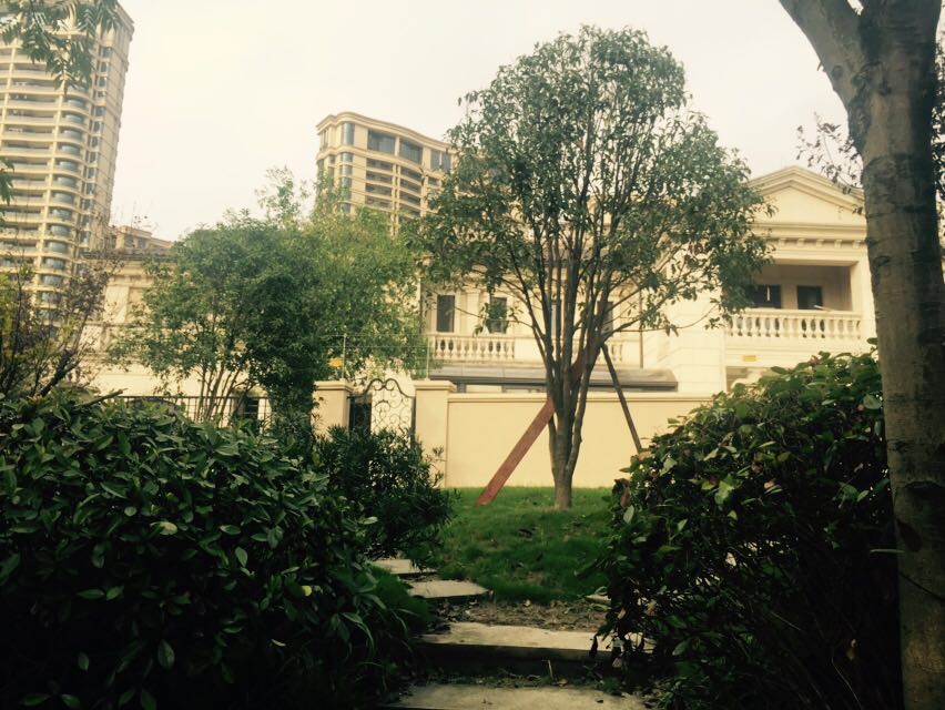 Yujinxiangan compound photo 14