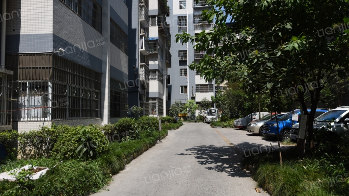 水苑小区外景图