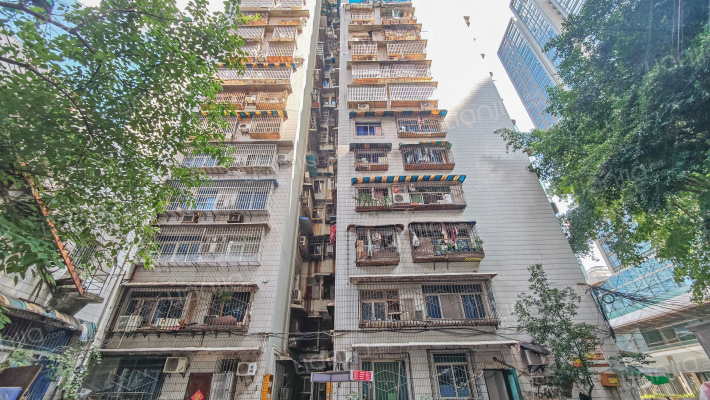 红锦大道17号外景图