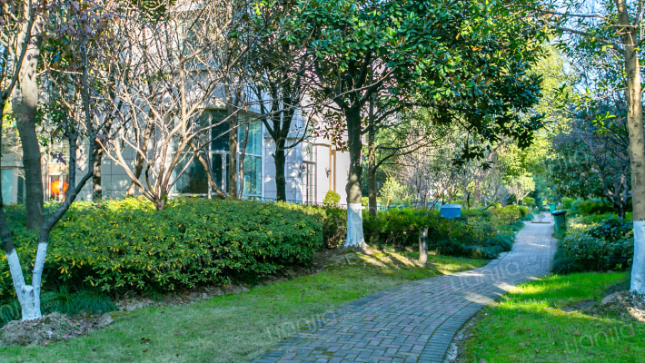 城市经典(二期)(别墅)外景图