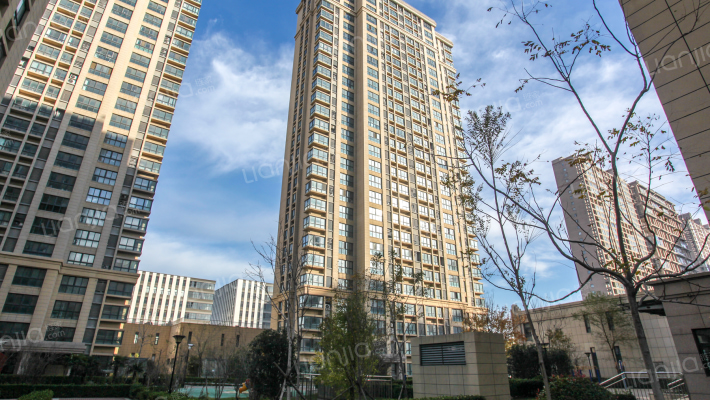 御龙国际外景图