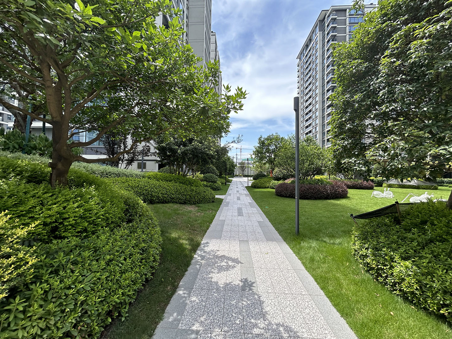 滨耀学府小区实景 14