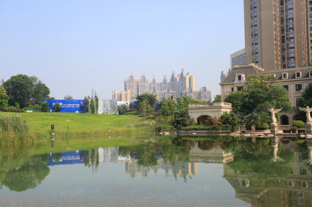 中洲·中央公园相册