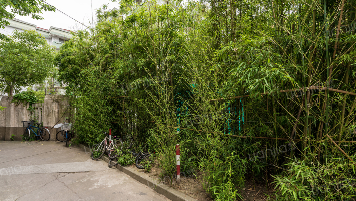 仙霞别墅外景图