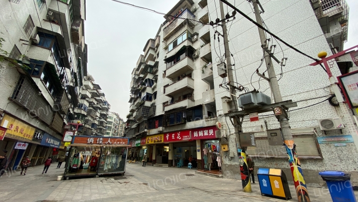 文体局综合楼外景图