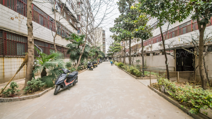 农资家属院外景图