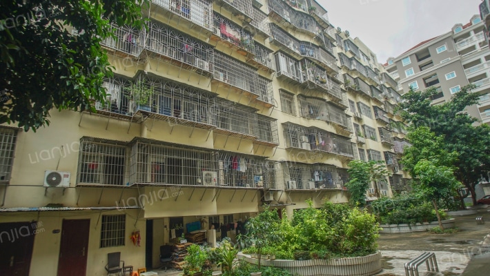 桥东小区外景图