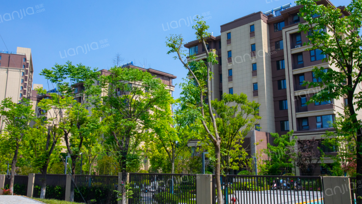 四季风华外景图