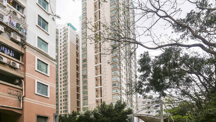 福田花园大厦外景图